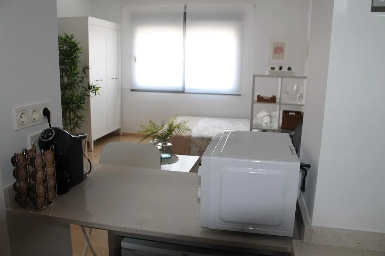 Paseo Maritimo Apartment Malaga